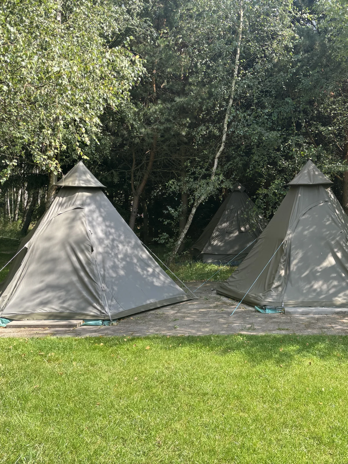 /assets/tipi/Tipi_Agroska_1.webp
