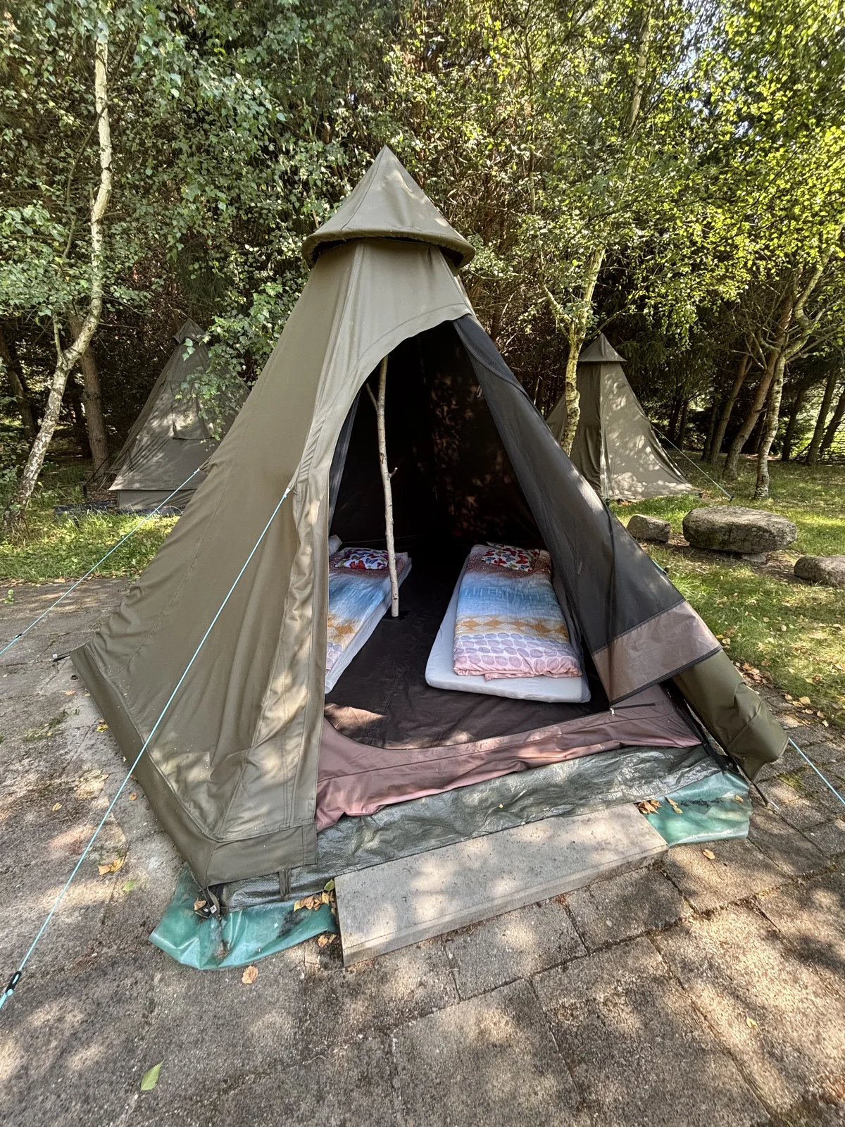 /assets/tipi/Tipi_Agroska_3.webp