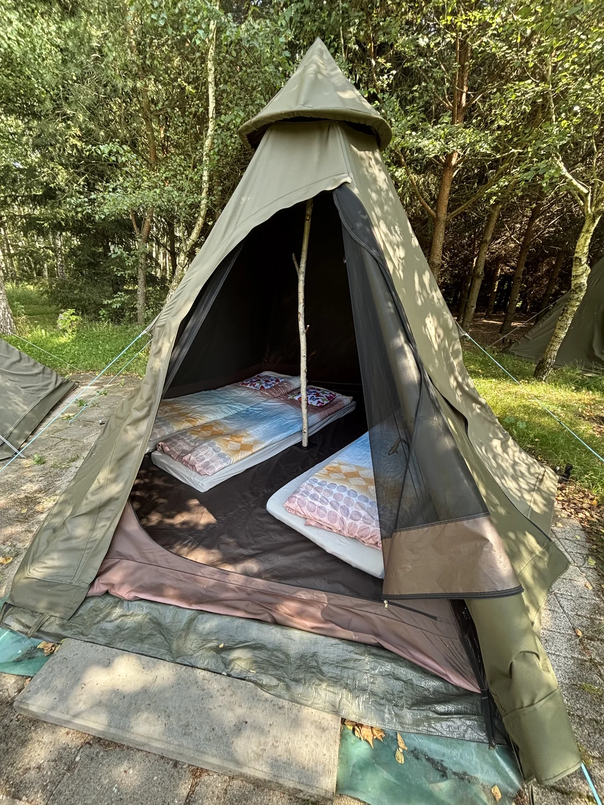 /assets/tipi/Tipi_Agroska_4.webp