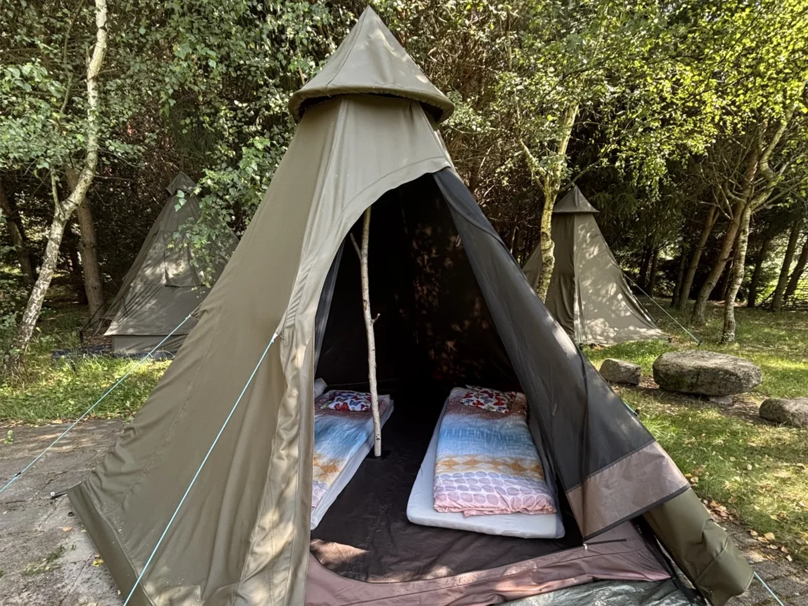 /assets/wstep/Tipi_Agroska_0.webp